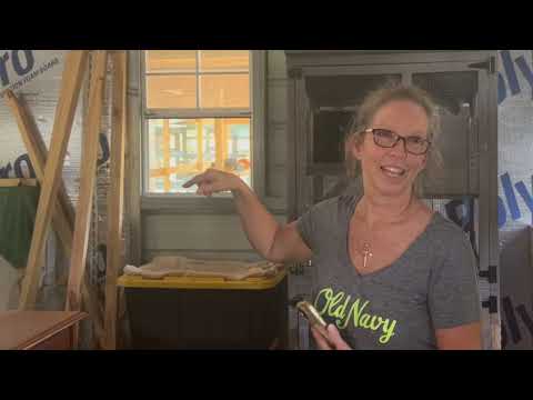 High Springs animal rescue gives cats a second chance at life - YouTube