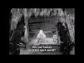 The Mountain Goats and Anonymous Four - White Cedar [Live]