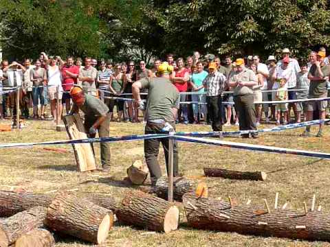 Favago verseny Bukkzserc 2011. 08. 27.