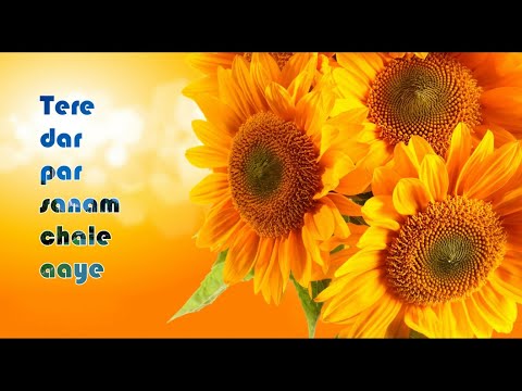 Tere dar par sanam chale aaye[Full Song] With Lyrics