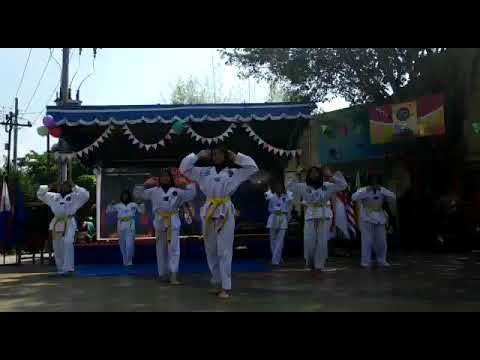 WANNA ONE (워너원) _'ENERGETIC (에너제틱)' | Taekwondo Dance Cover