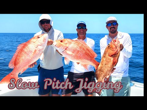 Slow Pitch Jigging| Technique for Red Snapper Fishing | Scamp Grouper | Red Grouper | JohnnyJigs