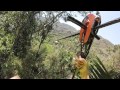 Línea Depredador Canopy El Edén