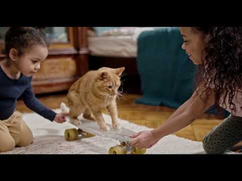 🤣 Funniest 😻Cats And 🐶 Dogs - Try Not To Laugh - Best Of The Funny Animal Videos