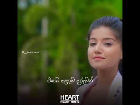 Hadu Suwadin (Amma) හාදු සුවඳින් - Manori Rathnayaka #shorts