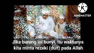 Download lagu Jika Burung Cabak Bunyi di Malam Hari, Itu Waktunya Berdoa Minta Rezeki pada Allah - Guru Sekumpul mp3