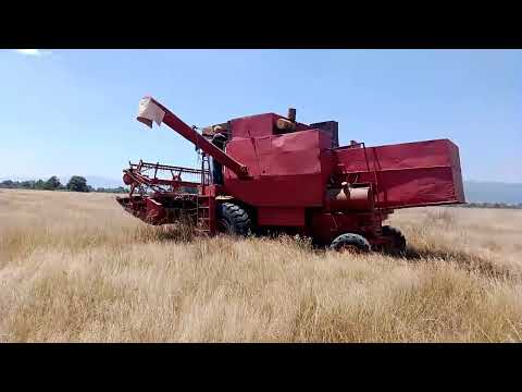 ZMAJ 170 ZETVA PSENICE 2024 IGOR PAVLOSKI