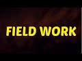 What Does FIELD WORK  Means || Meanings And Definitions in ENGLISH