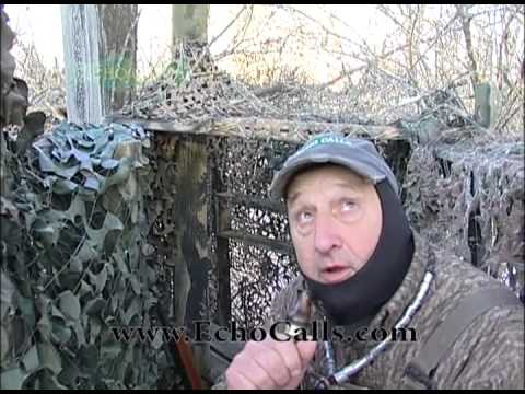 Greenhead Mallard Smashin' with the Trapper's Island Boys - Echo Calls Style