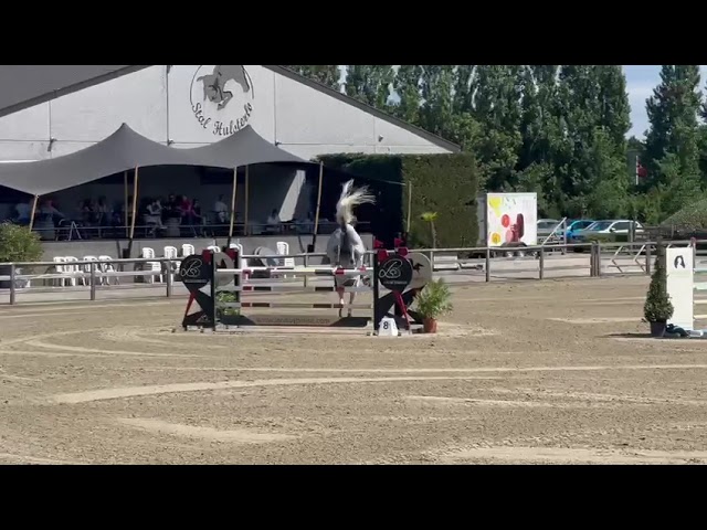 Mother of Cointreau is the CSI 1.40m jumping mare Special I am v/h Pardessenhof.