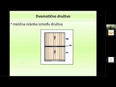 Mladen Krstić Dvomatično pčelarenje