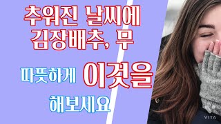 추워진 날씨 김장배추,무 보온 택배 뽁뽁이 변신