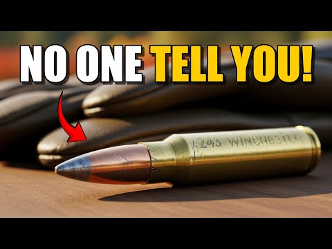 Stop Hunting With .243 Winchester Until You Watch This!