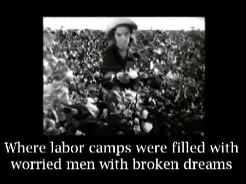 California Cottonfields