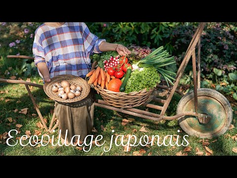 , title : 'パリの田舎に、日本の食と文化を楽しむ「村」を作る！/ フランス暮らしvlog'