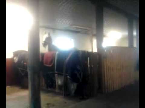 2011-09-12 Uttråkad konvalescent