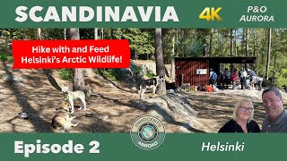 Helsinki's Arctic Wildlife and Architectural Wonders | P&O Aurora Scandinavia Vlog Ep 2