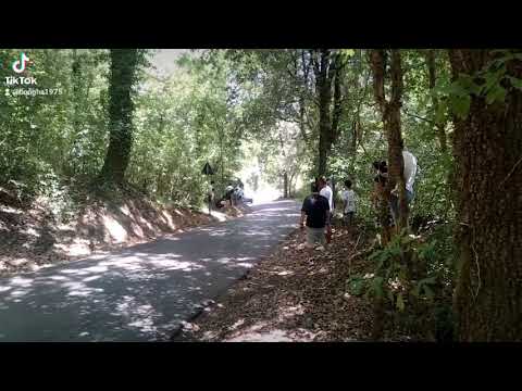 14 ° Rally di Reggello 2022.