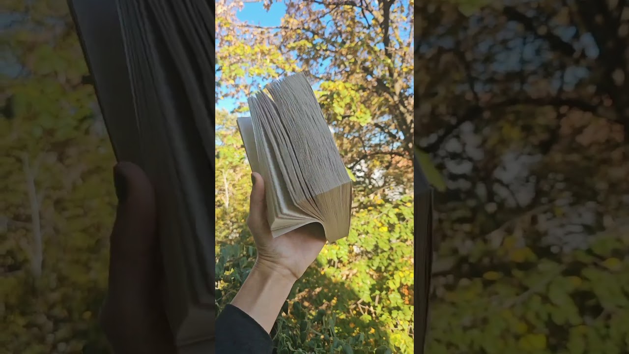 Prva novembarska knjiga obećava.