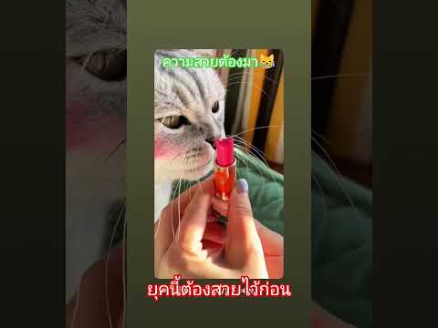 จัดเต็มไปเลยนุด😾 #cat #แมวน่ารัก #แมวดื้อ #แมวกวนๆ #แมวพูดได้ #แมว #สาวใต้ป้ายroiet