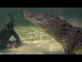 Swimming With Wild Crocodiles FULL DOCUMENTARY