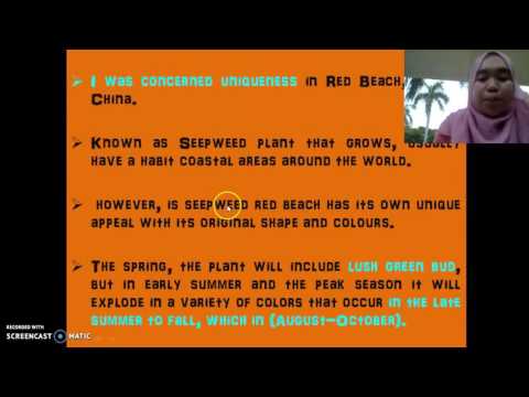 VOICE IT OUT 2 RED BEACH PANJIN CHINA, NAJWA HANANI BINTI ANANG S40794 K30