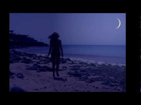 Bah Samba pres. Shake The Dog - Moonlight (Julian Bendall's Reprise)