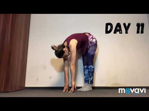 Spagat lernen.Tag 11