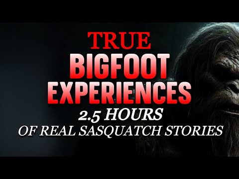 TRUE BIGFOOT EXPERIENCES:  2.5 HOURS OF REAL SASQUATCH STORIES