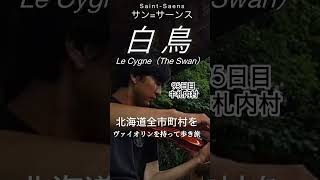 Download lagu 白鳥 Le Cygne（The Swan）・サン=サーンスSaint-Saens ・ 北海道全179市町村をヴァイオリン持って歩き旅中・95日目・中札内村 mp3