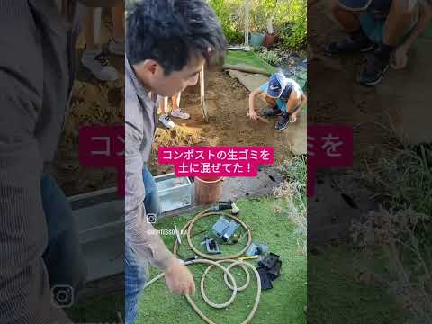 秋に庭で何をするか、子供の意識を高める、仕事、研究、環境を尊重する