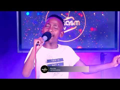 Ndumiso - liphakamisiwe