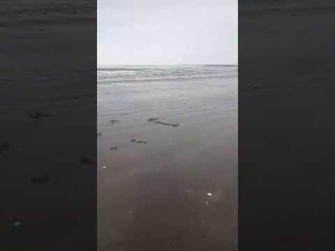 Así llegó a mi lugar SECRETO en comodoro Rivadavia 6! am con 12C 🥶