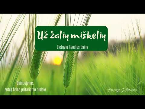Už žalių miškelių - dainuojame  karaoke