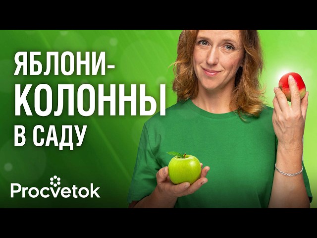 ВСЁ, ЧТО ВЫ ХОТЕЛИ ЗНАТЬ О КОЛОННОВИДНЫХ ЯБЛОНЯХ! Обзор сортов, особенности выращивания