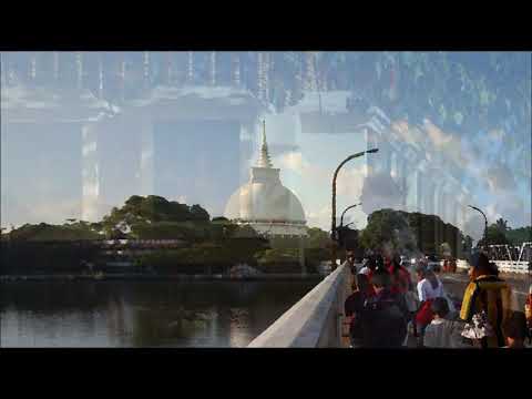 Vishakawa Oba Ma Dutu Budu Sirithe විශාකාව ඔබ මා දුටු බුදු සිරිතේ - Premakeerthi De Alwis