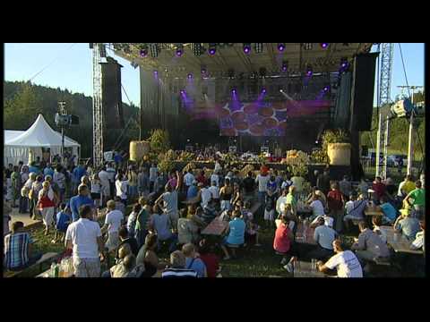 HARMONIKARSKI ORKESTER PUSTOTNIK - KMETIČ PRAZNUJE