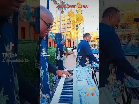 The Caribbean Crew playing Island  style in Florida. #viraltiktok #fyp #stories