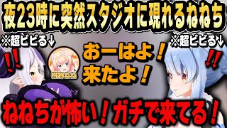 20人中ねねちだけガチでスタジオに来てそれにビビり散らかすぺこらとラプラス 人望力バトル面白シーンまとめ【ホロライブ 切り抜き/兎田ぺこら/ラプラス・ダークネス/桃鈴ねね】