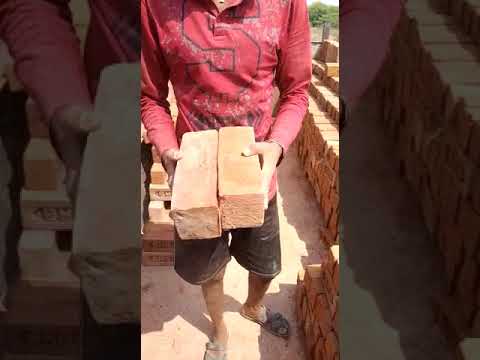 Building Red Bricks