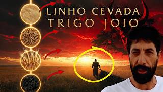 QUATRO TIPO DE PESSOAS:  LINHO, CEVADA, TRIGO E JOIO | E