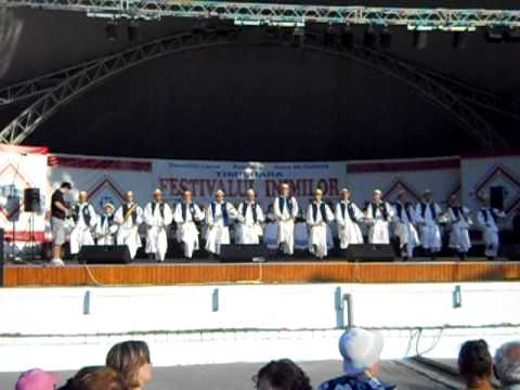 Junii Crisului Dieci la Festivalul inimilor Timisoara 2011 part 2