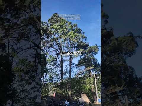 Vientos fuertes en yepocapa chimaltengo, Guatemala...