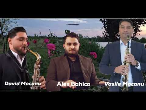 David Mocanu & Alex Bahica și Vasile Mocanu/ Live 2024