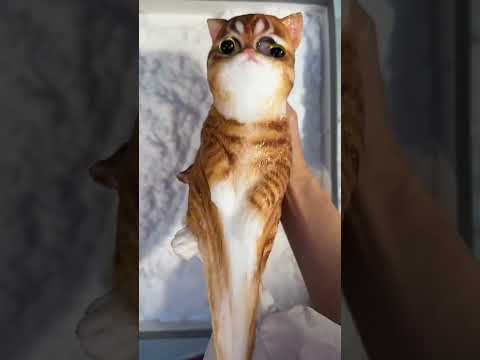 This Chinese Cat Toy Is So Sticky It Needs Gloves 😱