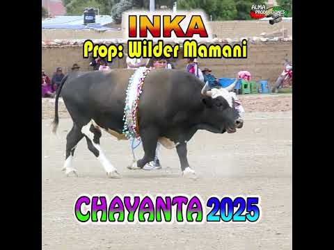 VI ToroTinku de CHAYANTA 2025, 1 Ronda "Inka-Diablo".#shortsviral  #almaproduccionesbolivia #shorts