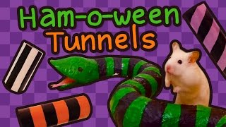 🐍 Stripey Halloween Snake Tunnels |  HAMSTER DIY 🎃