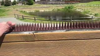Bird Spikes For Fence- AMAZON REVIEW