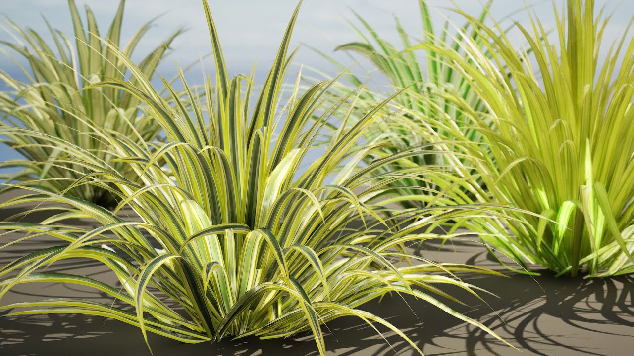 Bananenbootgras 3D-pakket 3D Model