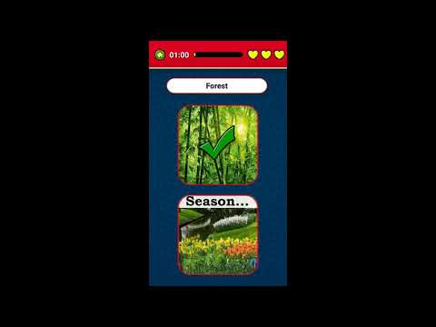 Learn English Vocabulary chall Video